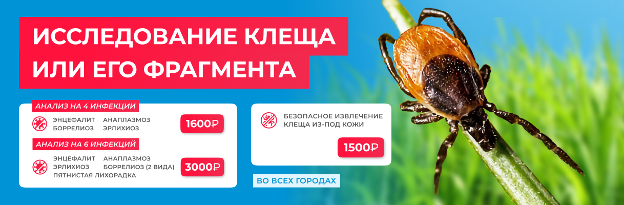 Главная